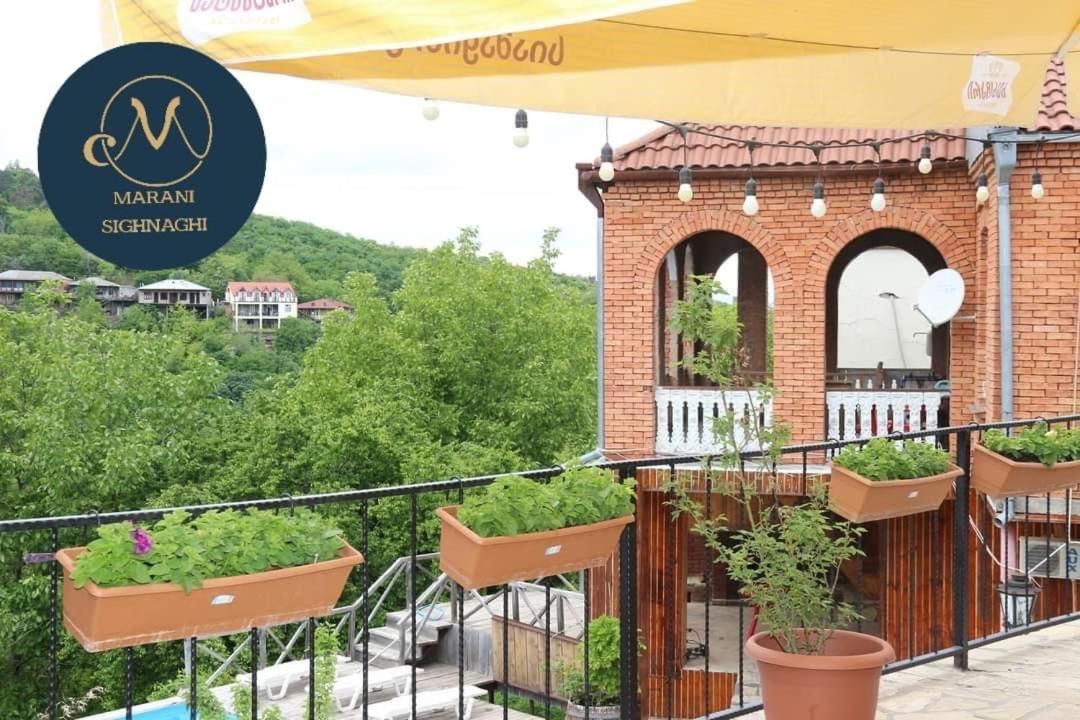 Guest House Marani Sighnaghi Luaran gambar